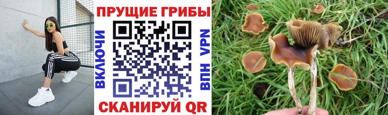 продажа наркотиков  Владимир  Галлюциногенные грибы ЛСД 